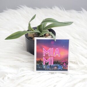 BH Cosmetics Miami Shadow Quad Eyeshadow Palette